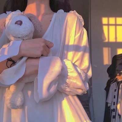 美国叛徒：轴心莎莉的审判